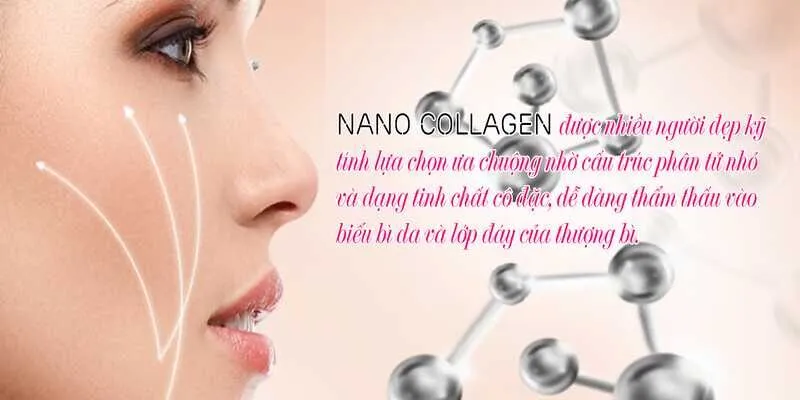 Nano Collagen và Đông trùng hạ thảo